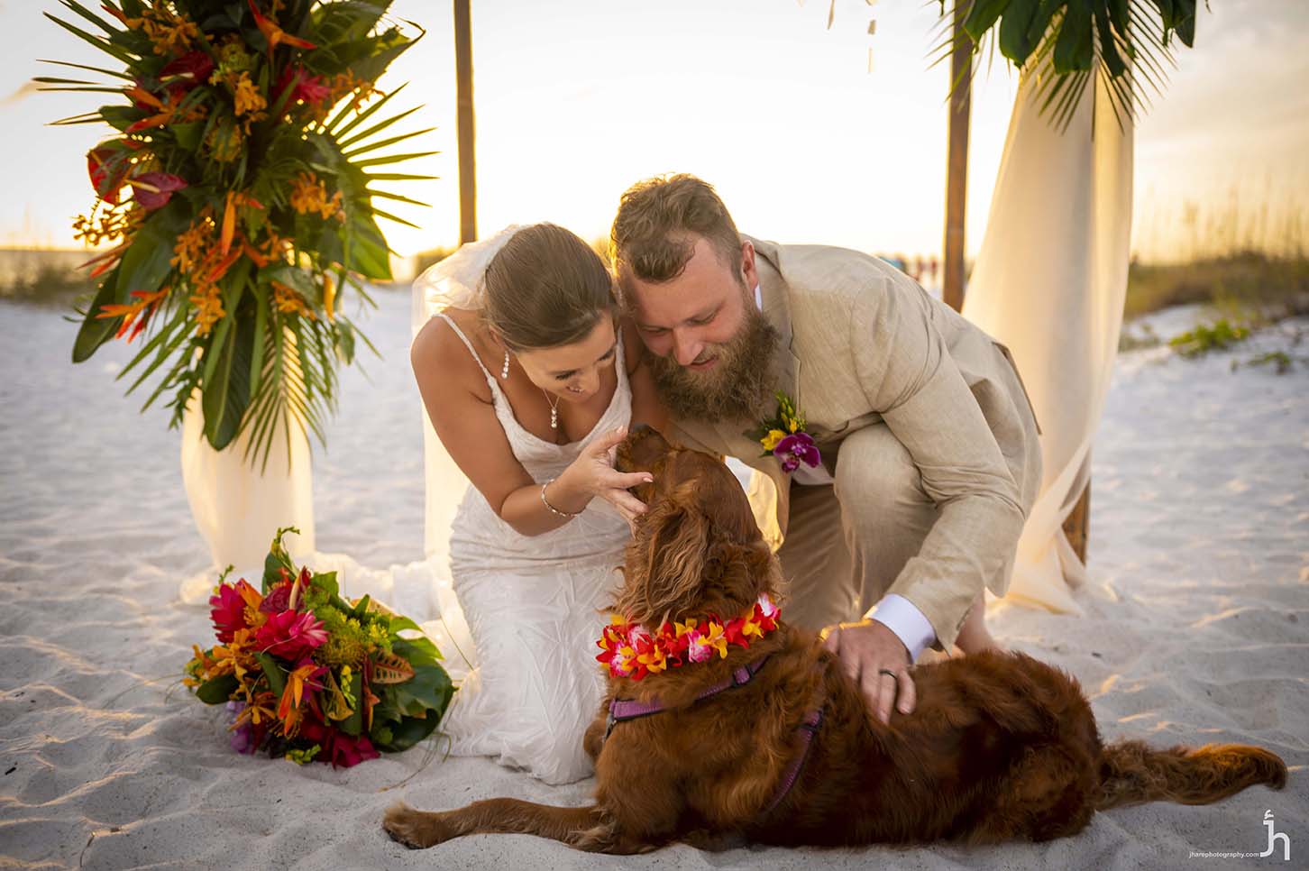 How to Have the Perfect Wedding Photos with Your Pet