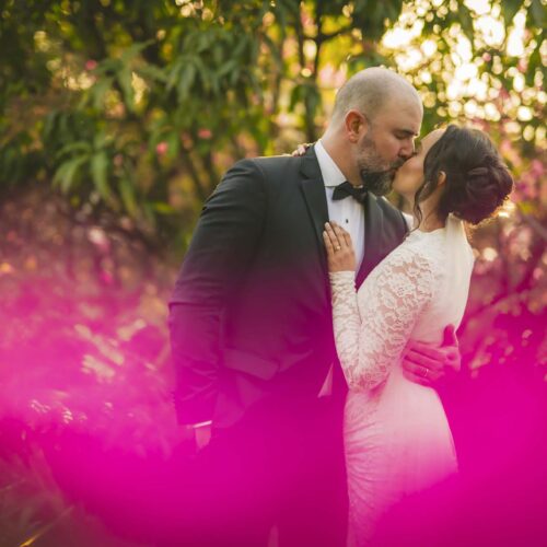 A couple in formal wedding attire shares a kiss outdoors, surrounded by greenery and bright pink foreground flowers.